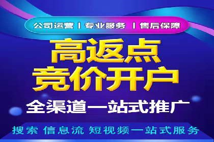 从零到一：企业如何通过百度竞价实现快速增长？——以某公司为例